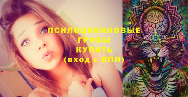 гидропоника Алзамай