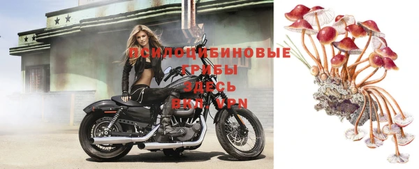 гидропоника Абдулино