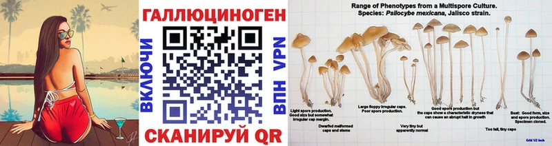 Галлюциногенные грибы Psilocybine cubensis  Тырныауз 
